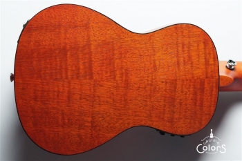 Exotic Mahogany Concert Ukulele w/EQ